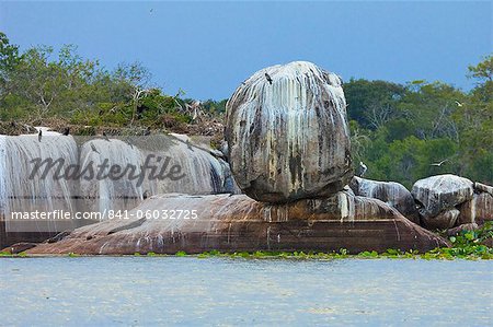 Rock formation with crocodiles and cormorants at Kumana National Park, formerly Yala East, Kumana, Eastern Province, Sri Lanka, Asia