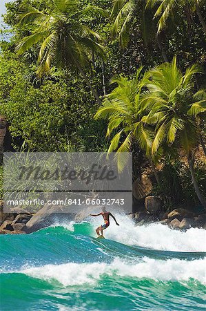 Surfer riding a wave in the western corner of the south coast beach at Mirissa, near Matara, Southern Province, Sri Lanka, Asia