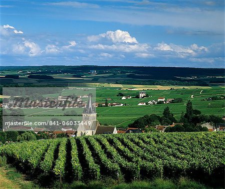 Champagne Weinberge, Ville-Dommange, in der Nähe von Reims, Champagne, Frankreich, Europa
