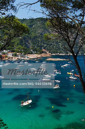 Vue sur la baie, Aiguablava, près de Begur, Costa Brava, Catalogne, Espagne, Méditerranée, Europe