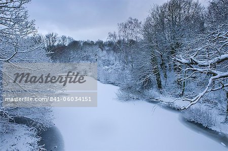 Hampstead Heath en hiver, au nord de Londres, Angleterre, Royaume-Uni, Europe