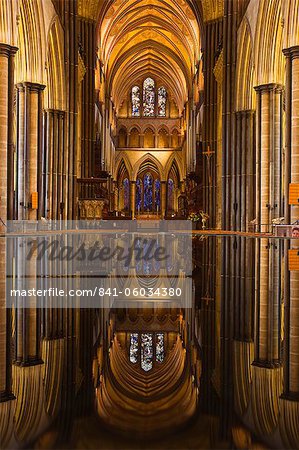 À la recherche sur la police et vers le bas de la nef de la cathédrale de Salisbury, Wiltshire, Angleterre, Royaume-Uni, Europe