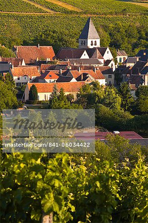 Le village de Sury en Vaux près des prestigieux vignobles de Sancerre, Cher, Loire, Centre, France, Europe