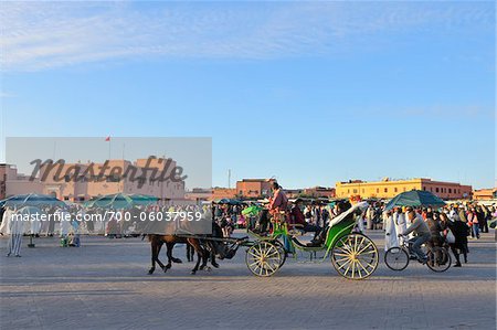 Horse-Drawn Cart, place du marché place Jemaa el-Fna, Marrakech, Maroc