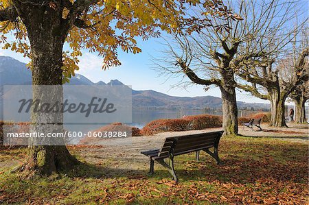 Bench at Kochelsee in Autumn. Kochel am See, Bad Tolz-Wolfratshausen, Upper Bavaria, Bavaria Germany.