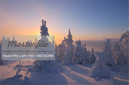 Schneebedeckte Bäume am Sonnenuntergang, Fichtelberg, Erzgebirge, Sachsen