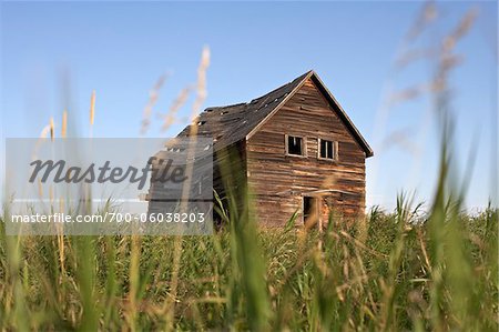 Vieille abandonnée grange en bois sur terrain herbeux, Pincher Creek, Alberta, Canada