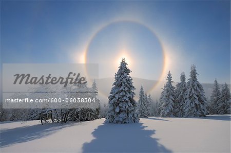 Halo und Schnee bedeckt, Bäume, Fichtelberg, Erzgebirge, Sachsen