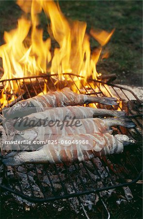 Truites grillées au bacon sur un feu ouvert Truites grillées au bacon sur un feu ouvert