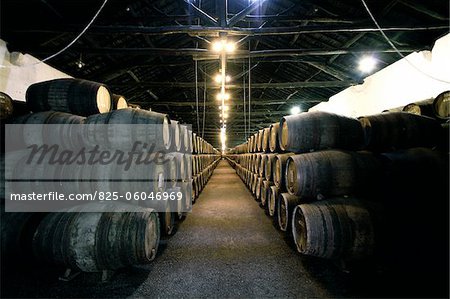 Wine cellar in Portugal