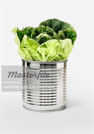Lettuce in a can Lettuce in a can
