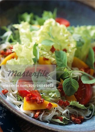 Somen und Mango-Salat