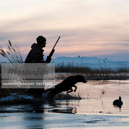 l'homme et son chien canard chasse