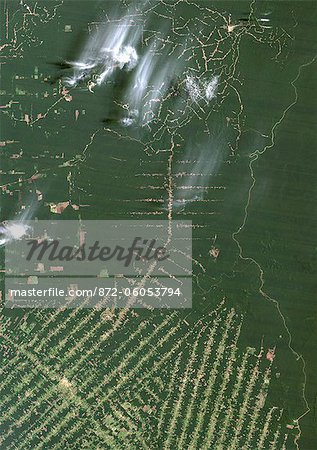 Deforestation, East Rondonia, Brazil, In 1986, True Colour Satellite Image. True colour satellite image showing deforestation in Amazonia in the Eastern part of the State of Rondonia, Brazil. Image in portrait format taken in 1986, using LANDSAT data.