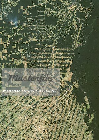 Entwaldung Rondonia Ost In Brasilien 2001 True Colour Satellitenbild Farbe Wahr Satellitenbild Zeigen Entwaldung In Amazonien