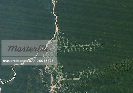 Deforestation, West Rondonia, Brazil, In 1986, True Colour Satellite Image. True colour satellite image showing deforestation in Amazonia in the Western part of the State of Rondonia, Brazil. Image taken on 07 July 1986, using LANDSAT data.