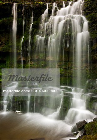 Scaleber Force Wasserfall, Yorkshire Dales National Park, Yorkshire, England