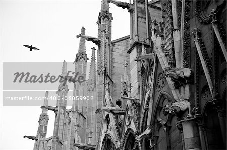 Old looking picture of the Notre Dame architecture detail