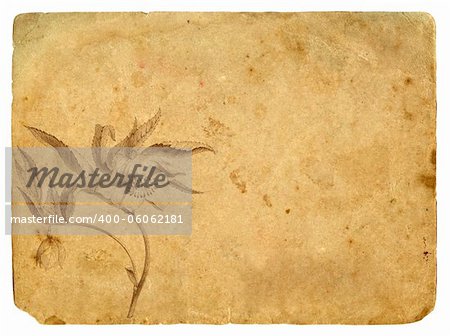 Old paper with an illustration of a flower in a graphic style. Old postcard, design in grunge and retro style