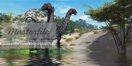 Two Apatasaurus dinosaur wade through a lush pond looking for plants to eat.