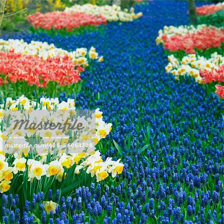 Keukenhof Gardens, Lisse, Netherlands