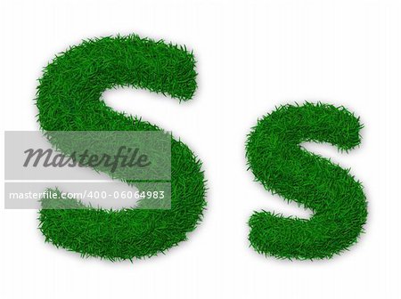 Illustration of capital and lowercase letter S made of grass