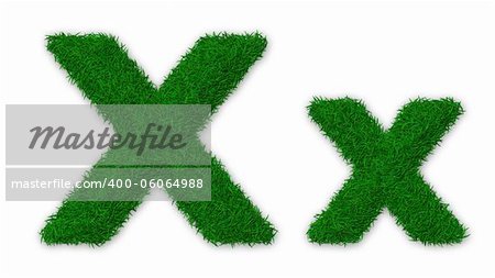 Illustration of capital and lowercase X letter made of grass