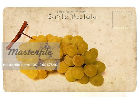 Bunch of ripe grapes. Old postcard, design in grunge and retro style