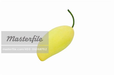 plastic yellow mango isolated form Thailand.Fruit of asia