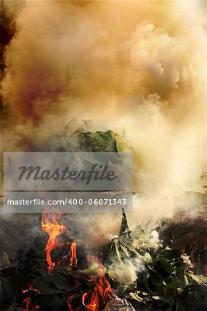 Plants, plastic and hazardous meterials on fire emitting toxic and poisoinous fumes and polluting environment