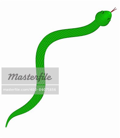 Green Snake with Scales Slithering on Isolated White Background Illustration