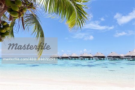 view from the beach at the overwater bungalows
