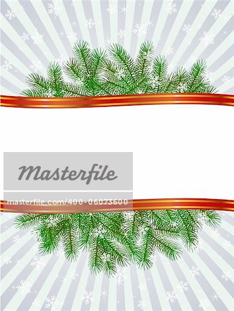 vector christmas with fir branch pattern frame