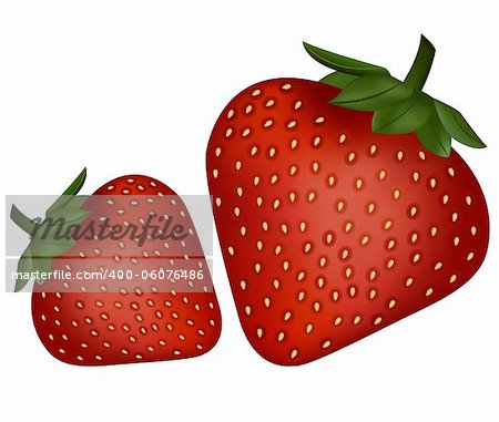 Vector of Delicious Strawberries on white