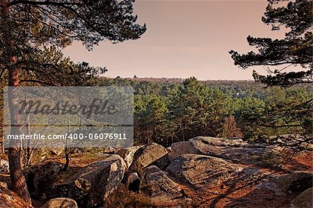 Sunset in the forest of Fontainebleau in the early spring.This French forest is a national natural park wellknown for its boulders with various sahpes and dimensions. It is the biggest and most developed bouldering (a specific style of  rock climbing) area in the world.