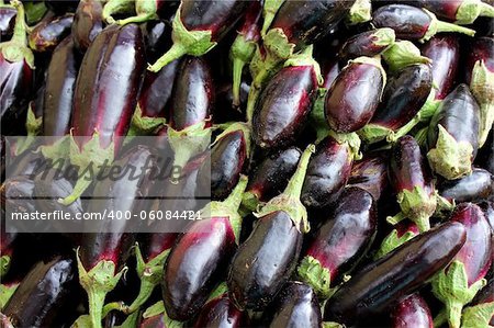 Agricultural background, a dark blue eggplant