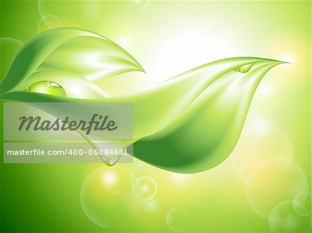 Abstract green background with leaves and water drops (no mesh)