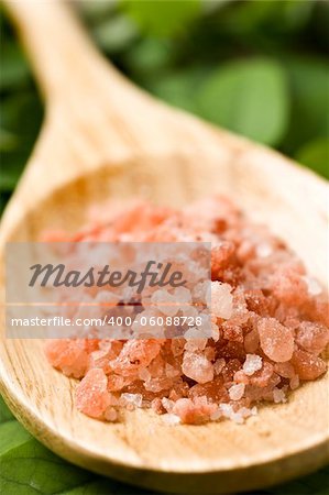 Course pink Himalayan salt on a wooden spoon