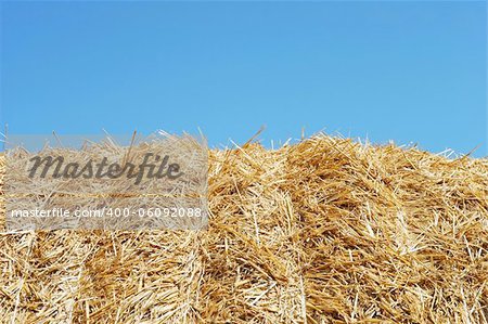 Close-up of a hay bale