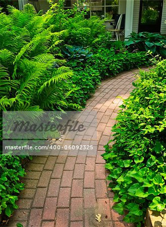 Paved brick path in lush green summer garden