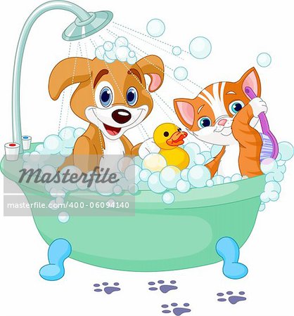 Very cute  Dog and Cat having a soapy bath
