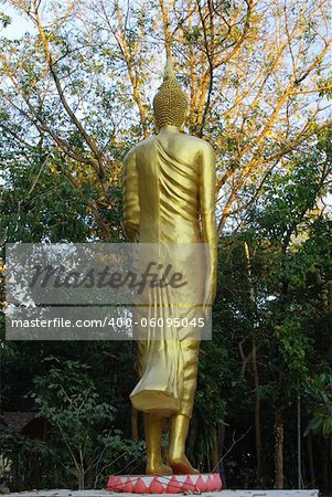 back of golden buddha statue in Thailand