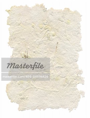 Handmade paper with leaves and flowers inside, isolated on white background