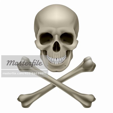 Skull and crossbones. Illustration on white background