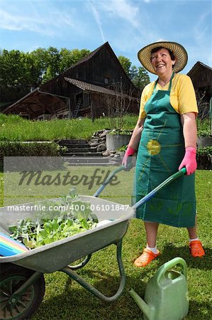 Retired woman in her 60's moving her new plants to her garden with a wheelbarrow.