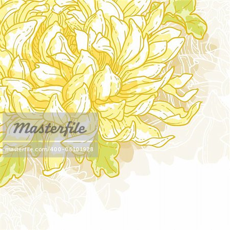 Abstract romantic vector background with chrysanthemum.