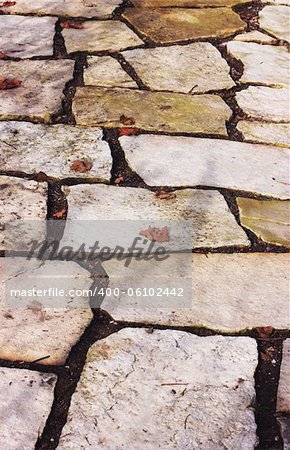 Path paved with a natural stone in a autumn garden