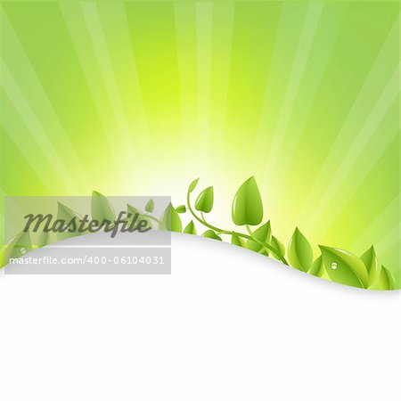 Green Leaves With Sunburst  And Rays, Vector Illustration
