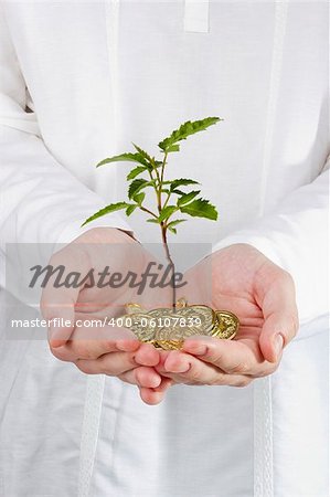 Close-up photograph of a young tree growing out of a pile of coins.