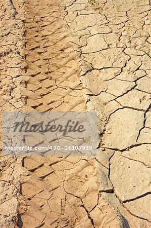 Car wheels traces on dried clay soil